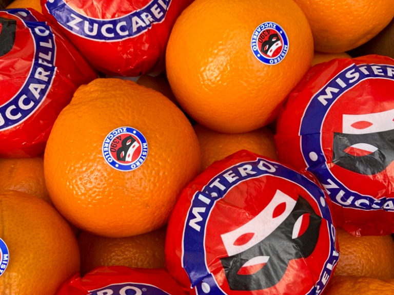 Zuccarello Orangen - Handel im Zürcher Engrosmarkt