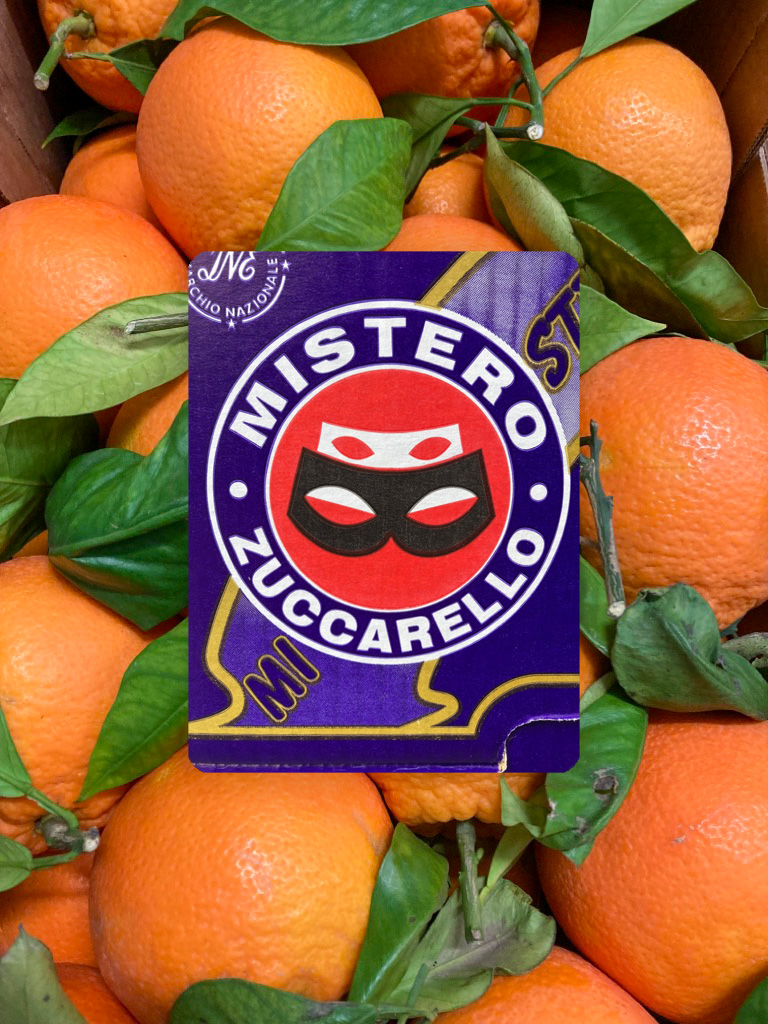 Zuccarello Orangen - Import